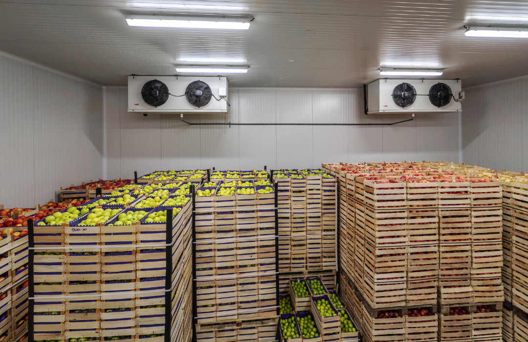 food storage in warehouse